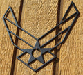 Air Force Logo Metal Wall Art